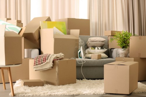 Senior review stage in a storage complaints procedure